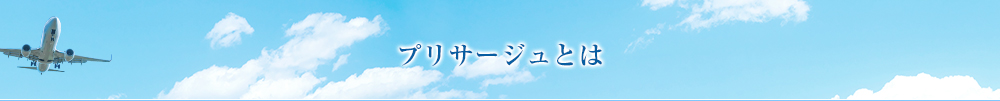 プリサージュとは