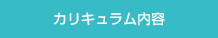 カリキュラム内容